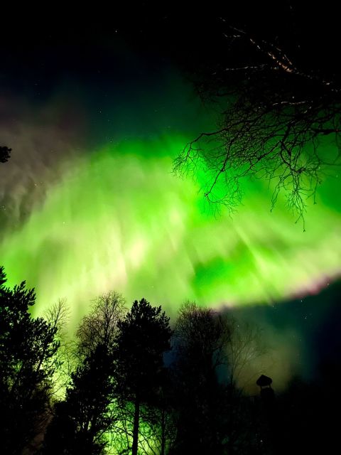 Rovaniemi Hunting Aurora at the Best Spots - Key points to know before you book