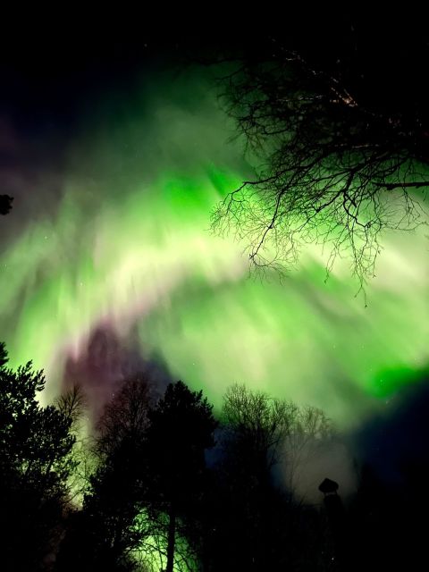 Rovaniemi Hunting Aurora at the Best Spots - Hot tea in the Arctic cold