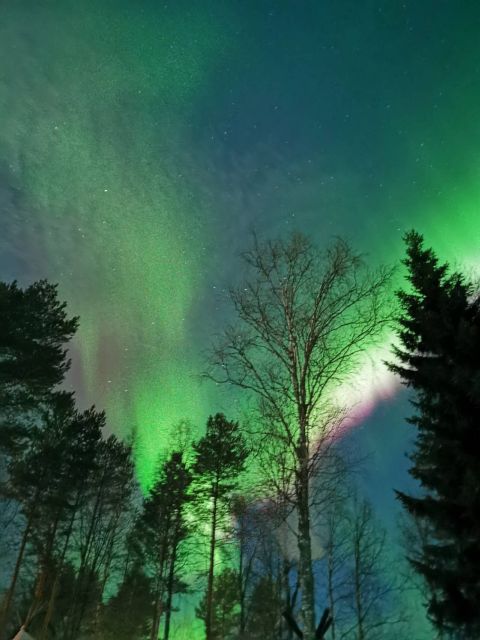 Rovaniemi Hunting Aurora at the Best Spots - Clothing rules that can make or break the night