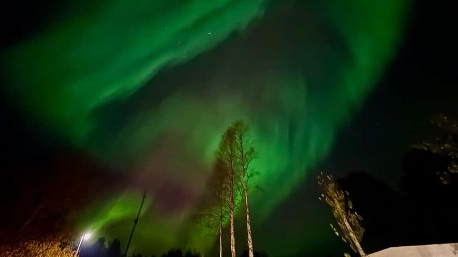 Rovaniemi: hunting for the Northern Lights with BBQ - Price, timing, and overall value