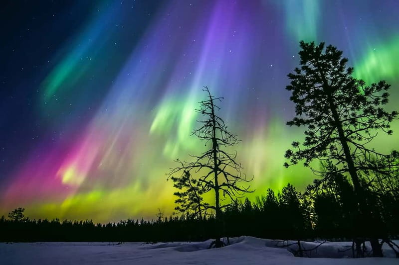 Rovaniemi: Ice Floating in Forest Lake with Aurora Borealis - Key points at a glance