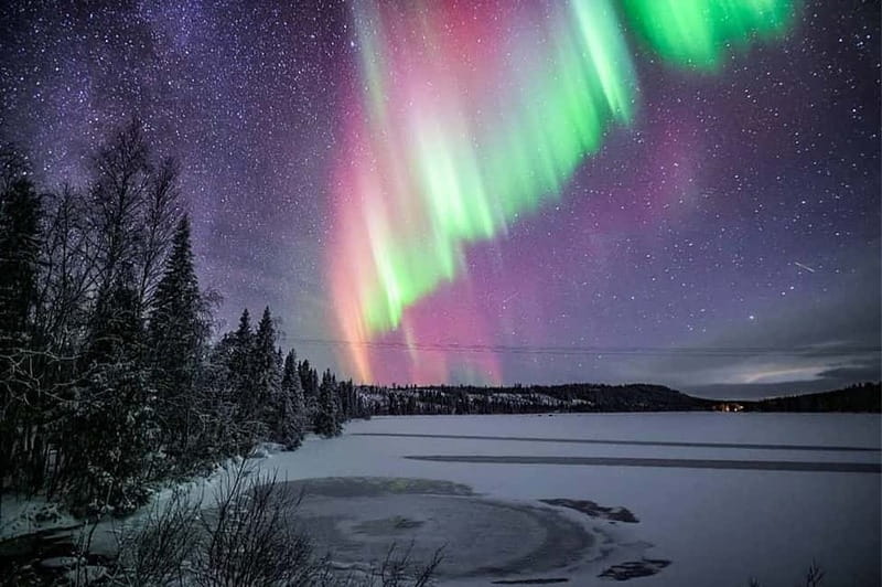 Rovaniemi: Ice Floating in Forest Lake with Aurora Borealis - Watching for the Northern Lights