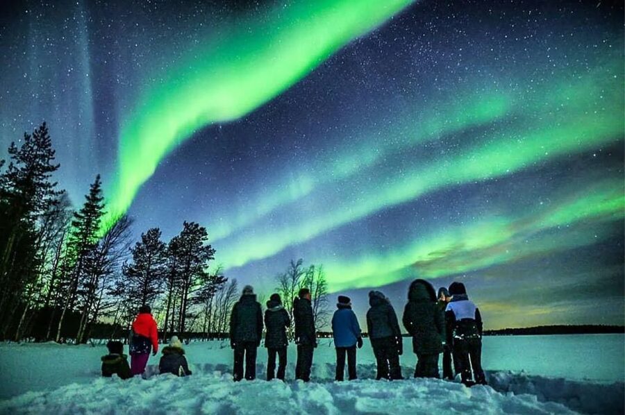 Rovaniemi: Lapland Northern Lights Tour with BBQ - Is the $81 price fair?
