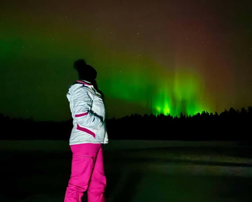 Rovaniemi: Night Tour in Search of the Aurora with BBQ - Key points to know before booking