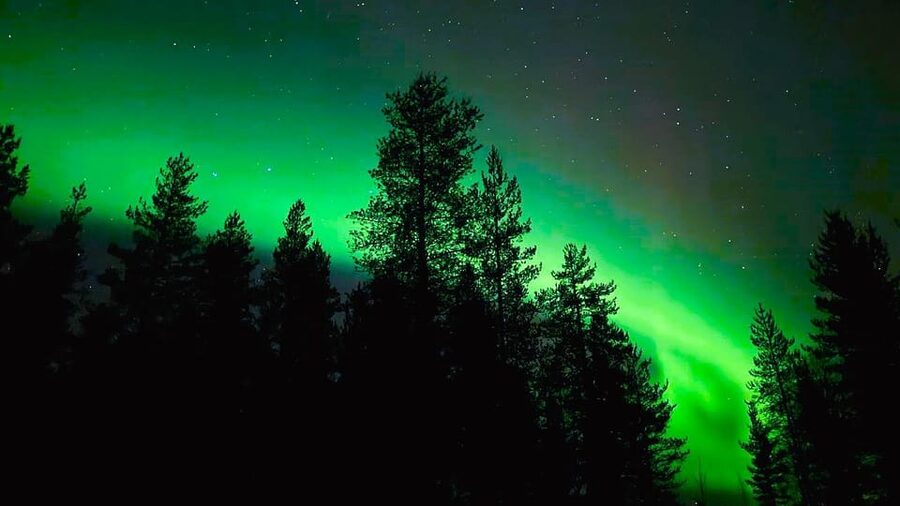 Rovaniemi: Night Tour in Search of the Aurora with BBQ - Seeing the Northern Lights, and not seeing them