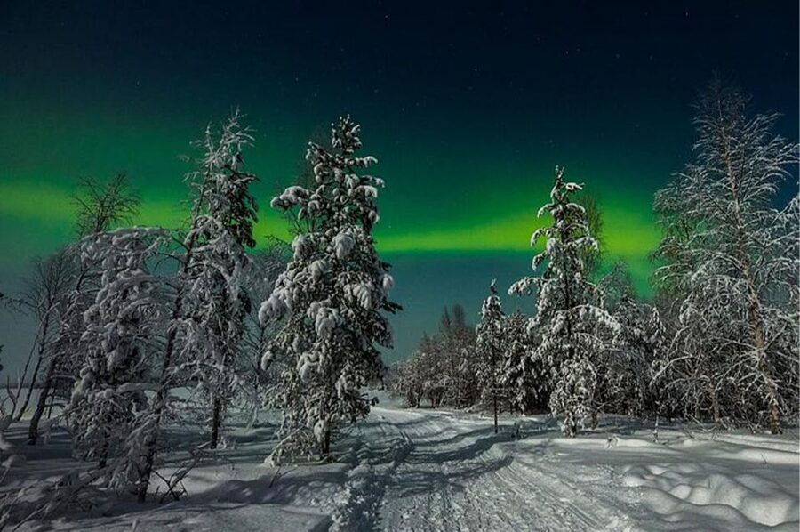 Rovaniemi: Northern Lights and Husky Sleigh Ride - Key points at a glance