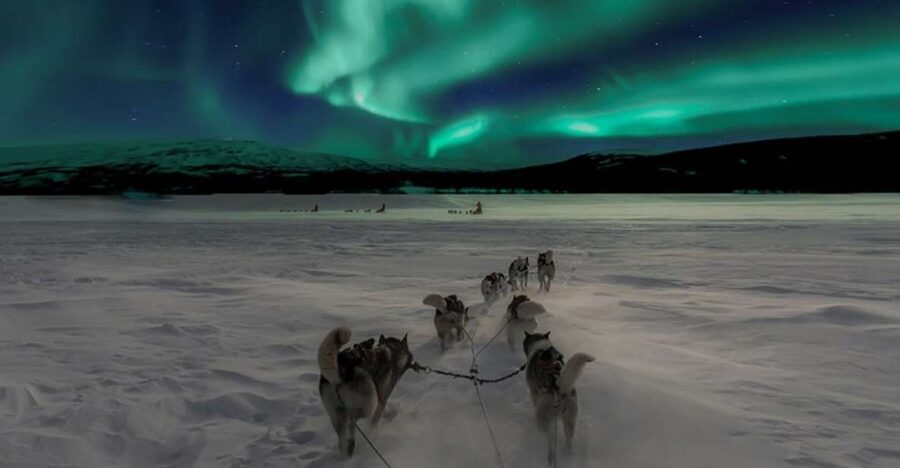 Rovaniemi: Northern Lights and Husky Sleigh Ride - Should you book it?