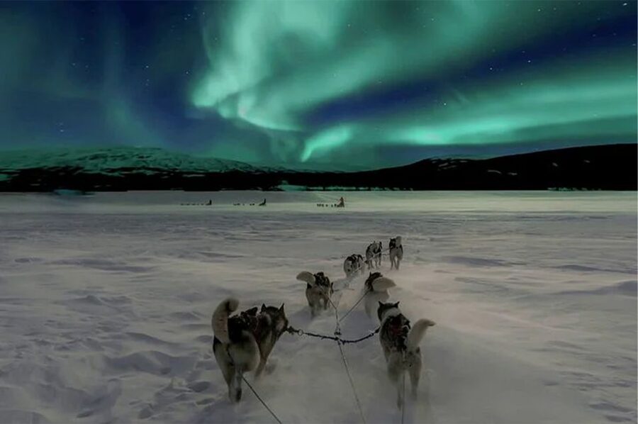 Rovaniemi: Northern Lights and Husky Sleigh Ride - Seeing the Northern Lights after the sled ride