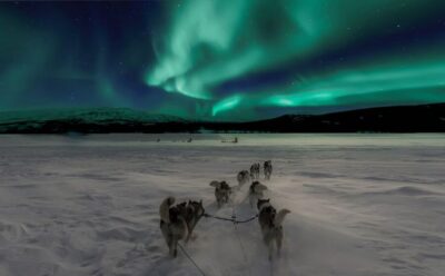 Northern Lights and Husky Sleigh Ride