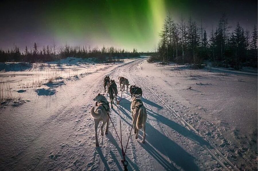 Rovaniemi: Northern Lights and Husky Sleigh Ride - Warm clothing and comfort in Arctic darkness