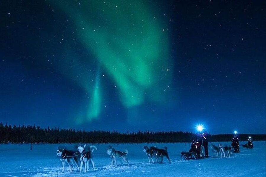 Rovaniemi: Northern Lights and Husky Sleigh Ride - How the $269 price holds up