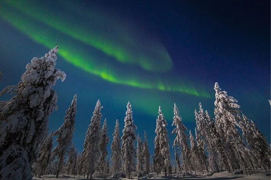 Rovaniemi: Northern Lights and Husky Sleigh Ride - Guide quality and the human side of the outing