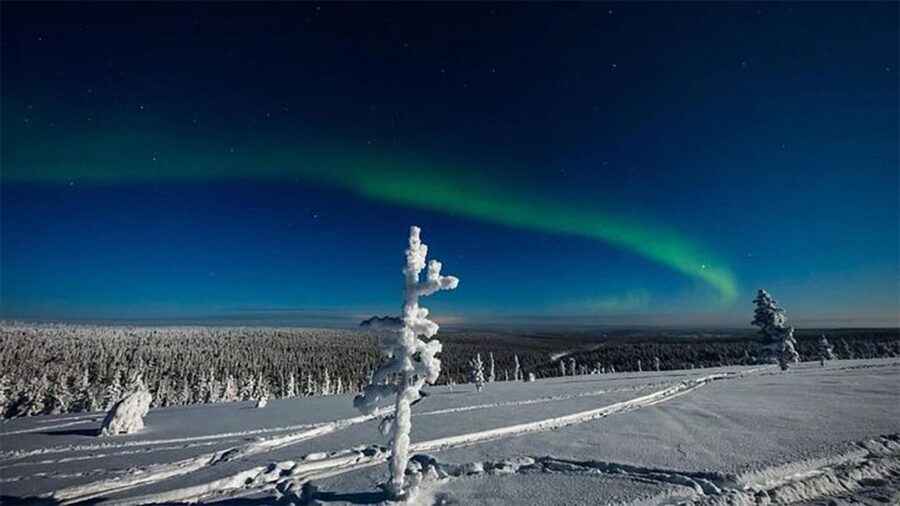 Rovaniemi: Northern Lights and Husky Sleigh Ride - Who should book this husky and aurora tour?