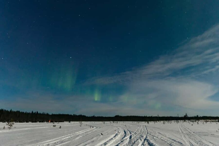 Rovaniemi: Northern Lights Family-Friendly Snowmobile Safari - Through the snowy forest after dark