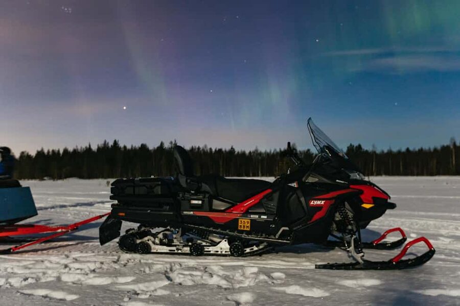 Rovaniemi: Northern Lights Family-Friendly Snowmobile Safari - Searching for the Northern Lights