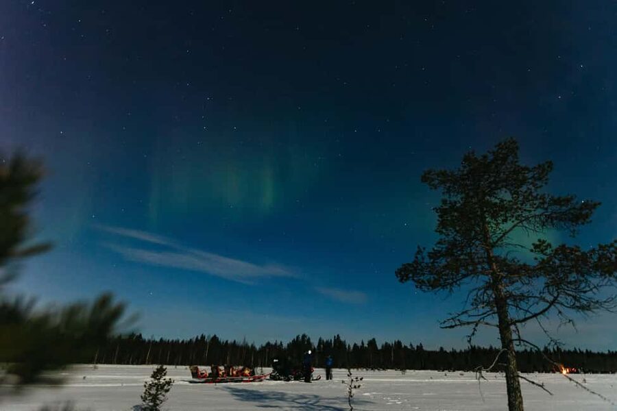 Rovaniemi: Northern Lights Family-Friendly Snowmobile Safari - Which families will enjoy this most