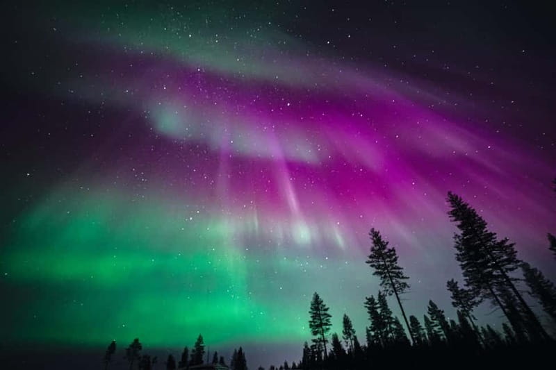 Rovaniemi: Northern Lights Group Tour with Guaranteed View - Key points to know before booking