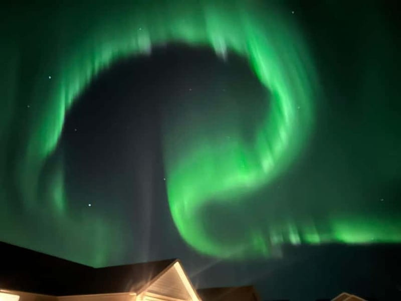 Rovaniemi: Northern Lights Hunters. Aurora + BBQ - Key points to know before you book