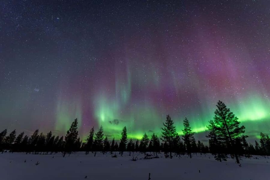Rovaniemi: Northern Lights Photo Tour | Money-Back Guarantee - Who should book this Rovaniemi aurora chase?