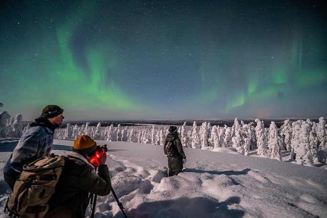 Rovaniemi Northern Lights Photography Small-Group Tour - How much value do you get for $175.43?