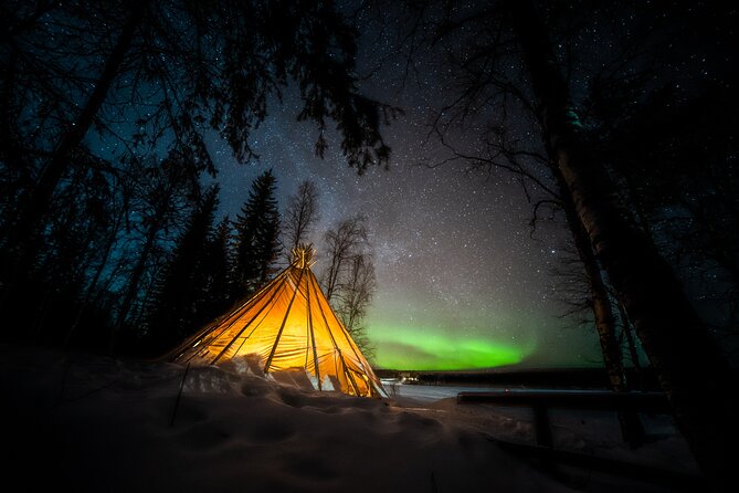 Rovaniemi Northern Lights Photography Small-Group Tour - Cold, dark, and physically manageable