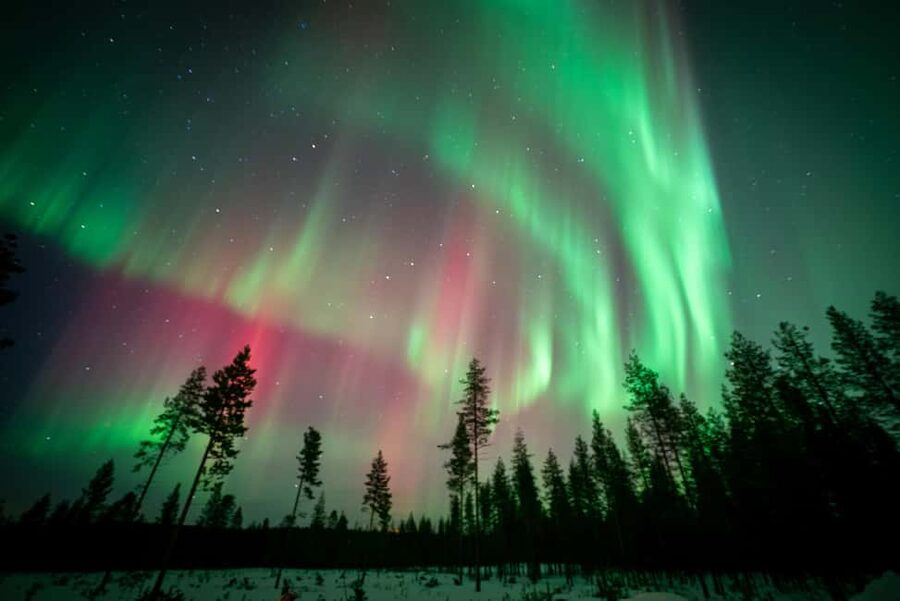 Rovaniemi: Northern Lights Photography Tour & BBQ - Campfire BBQ with reindeer sausage and blueberry juice