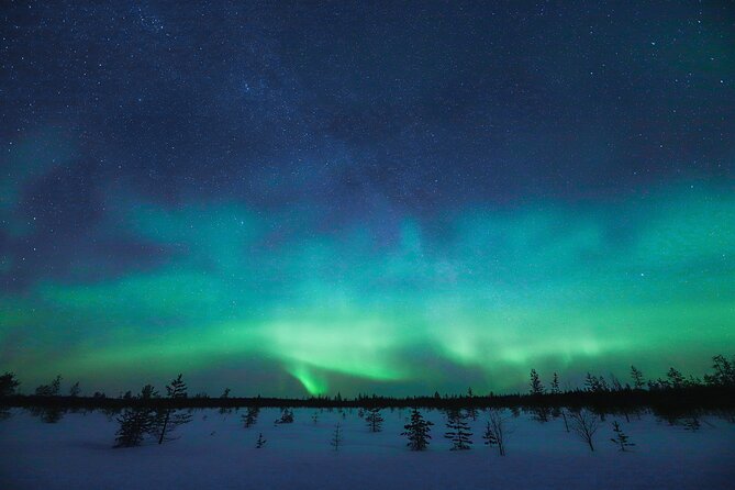 Rovaniemi: Northern Lights Pro Guaranteed - Unlimited Distance - The night unfolds in stages