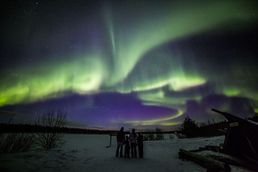 Rovaniemi: Northern Lights Sledge Ride - Leaving Rovaniemi for the Arctic forest