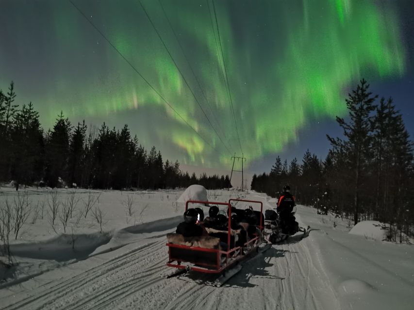 Rovaniemi: Northern Lights Sledge Ride - Who will enjoy this outing most