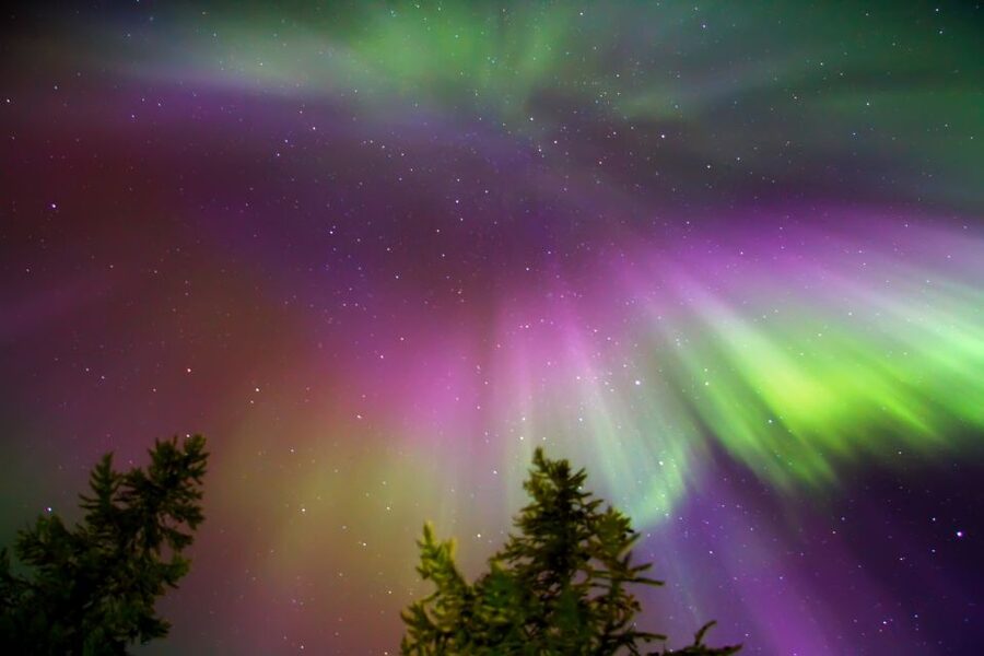 Rovaniemi: Northern Lights Sledge Ride - Should you book the Northern Lights Sledge Ride?