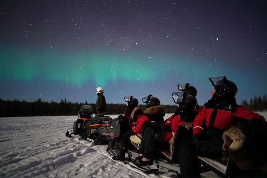 Rovaniemi: Northern Lights Sleigh Ride - Key points to know before you book