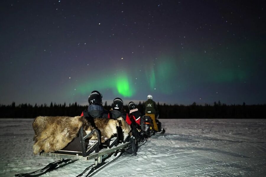 Rovaniemi: Northern Lights Sleigh Ride - Who will enjoy this most?