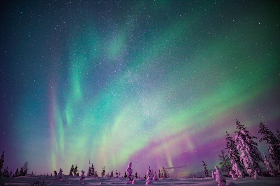 Rovaniemi: Northern Lights Snowmobile Tour - Key points to know before you book