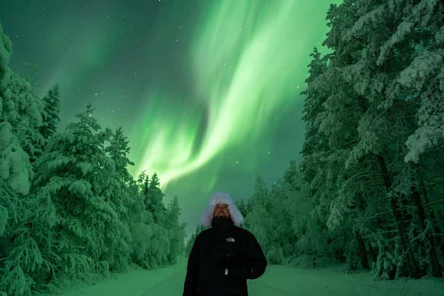 Rovaniemi: Northern Lights Tour - 100% Money Back Guarantee - Choosing between the van and coach