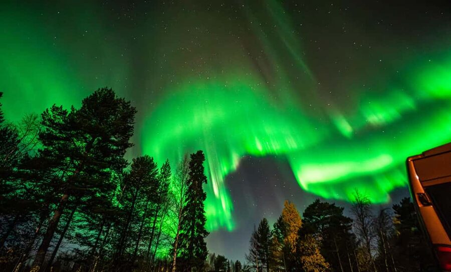 Rovaniemi: Northern Lights Tour – Guaranteed with Photos - Booking details worth checking before you go