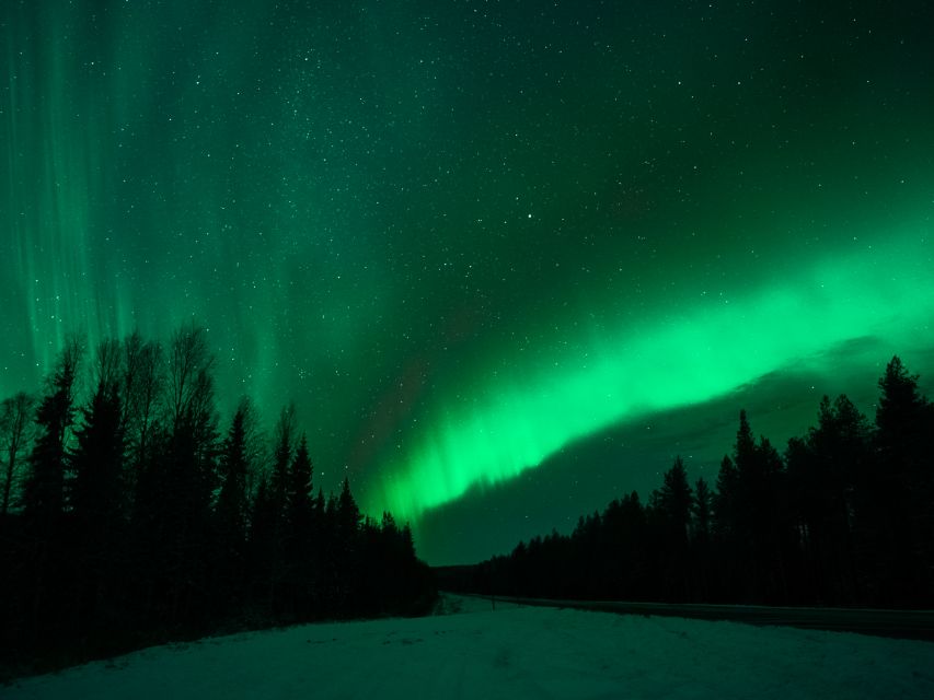 Rovaniemi: Northern Lights Tour with Guaranteed Sightings - Who should book this Aurora hunt