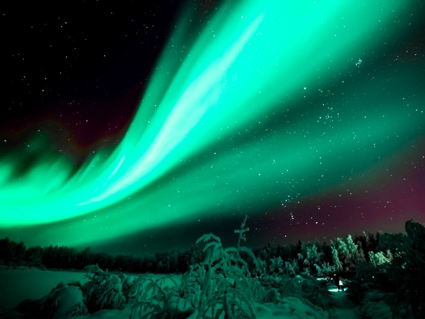 Rovaniemi: Northern Lights Tour with Guaranteed Sightings - The drive becomes part of the adventure