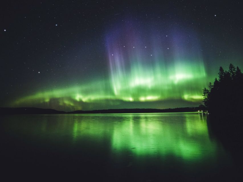 Rovaniemi: Northern Lights Tour with Guaranteed Sightings - The return trip can bring another surprise
