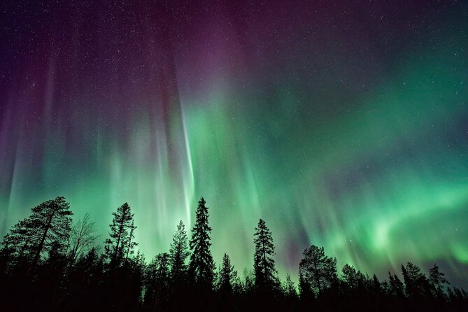 Rovaniemi: Private Aurora Tour with Guaranteed Sightings - Seeing the lights in several places