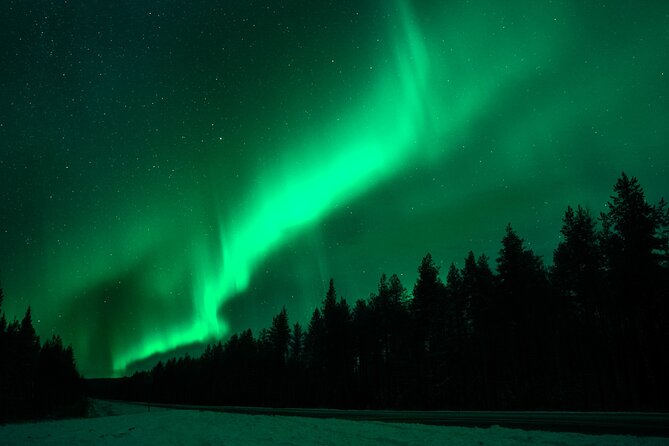 Rovaniemi: Private Aurora Tour with Guaranteed Sightings - The Long Ride Into Lapland