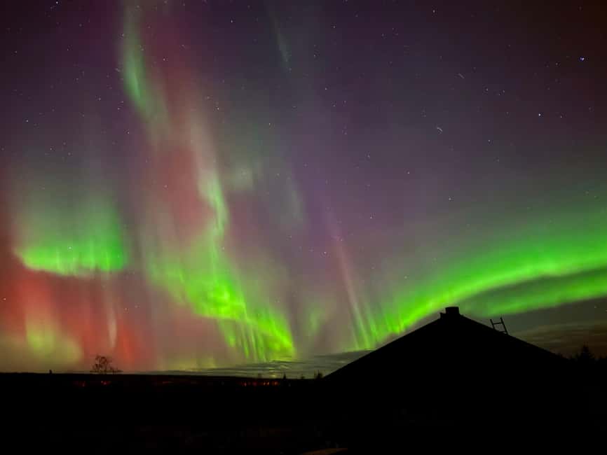Rovaniemi: Santa's Reindeer and Husky Safari with Aurora BBQ - A Kota fire, berry tea, and Lappish sausages