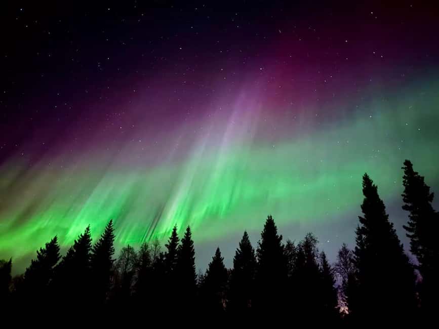 Rovaniemi: Santa's Reindeer and Husky Safari with Aurora BBQ - Is $281 good value for this package?
