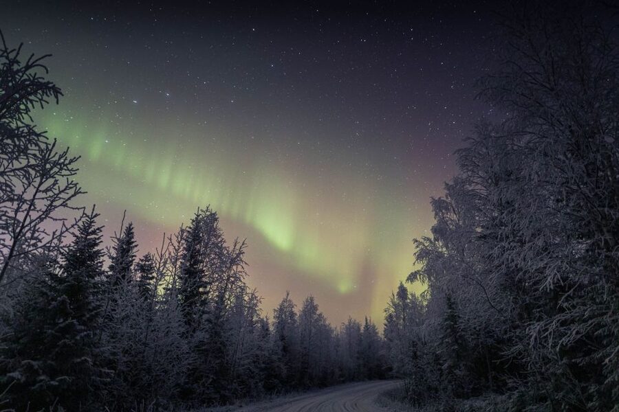 Rovaniemi: Sauna & Ice Swimming Tour with Dinner and Aurora - Dinner in the wooden cottage