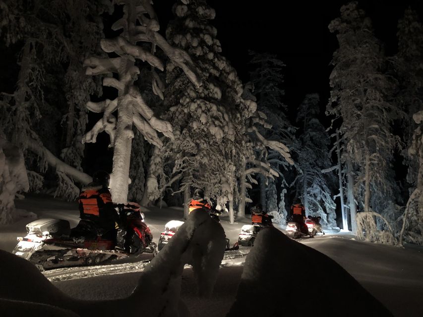 Rovaniemi: Search for Northern Lights Snowmobiling Trip - Who can drive and who should sit this one out