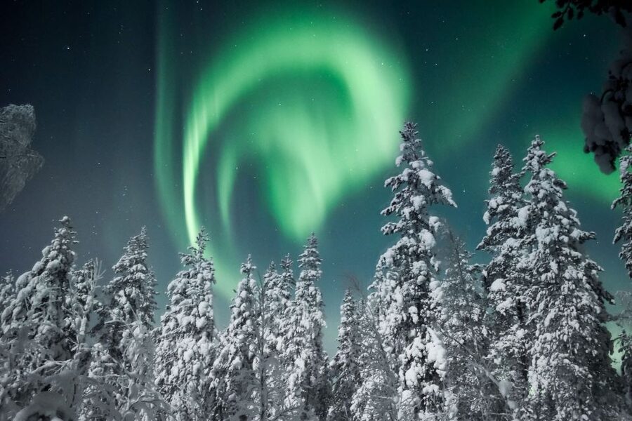 Rovaniemi: Search for Northern Lights Snowmobiling Trip - Booking, cancellation, and weather notes