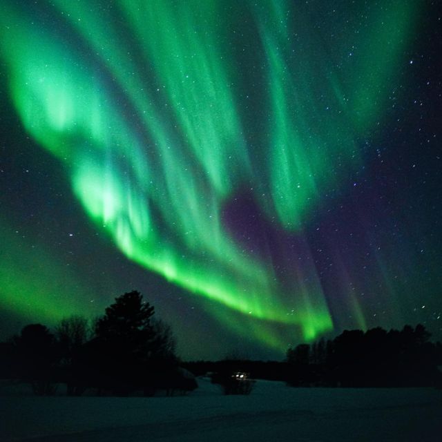 Rovaniemi: Small Group Aurora Hunt-full money back guarantee - Guides who keep looking after the first sighting