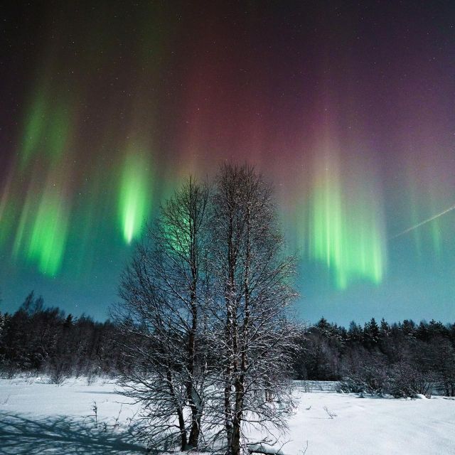 Rovaniemi: Small Group Aurora Hunt-full money back guarantee - What the money-back guarantee really means