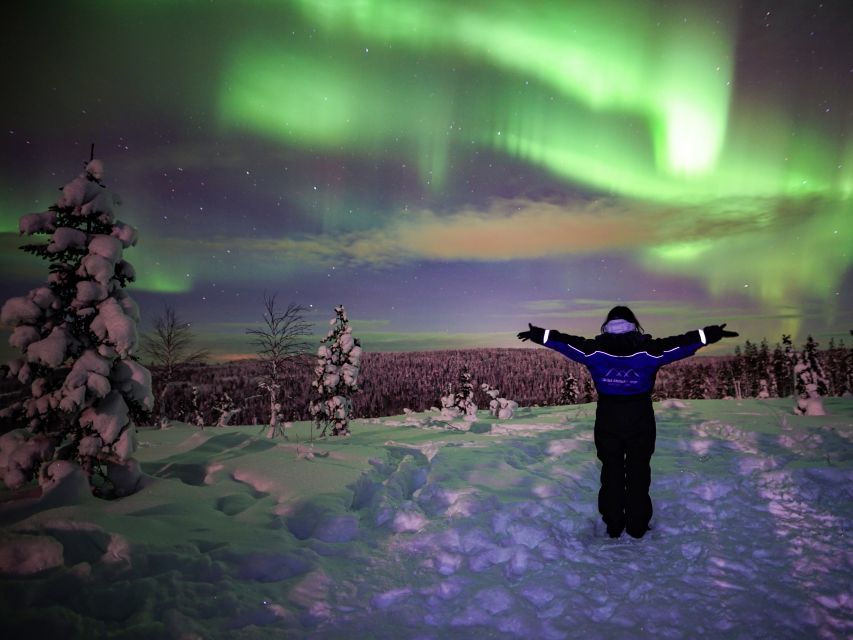 Rovaniemi: Small-Group Northern Lights Wilderness Tour - Why this is more than a one-stop Aurora outing