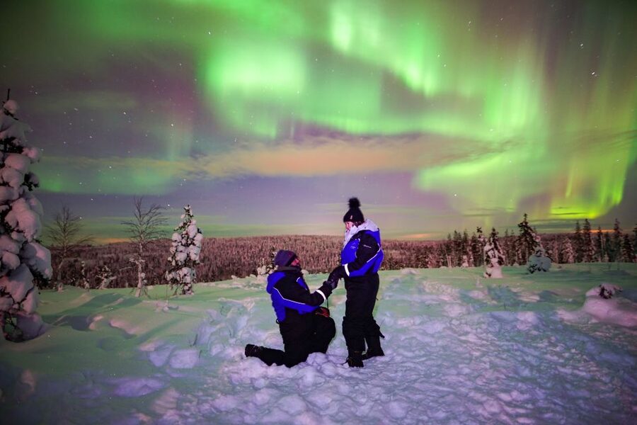 Rovaniemi: Small-Group Northern Lights Wilderness Tour - What the $136 price gets you