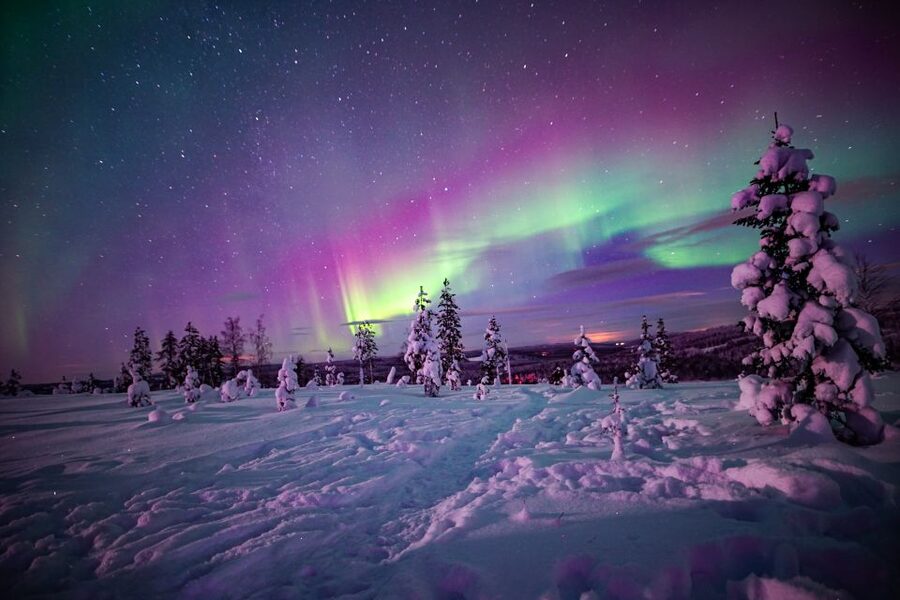 Rovaniemi: Small-Group Northern Lights Wilderness Tour - Clothing, cold, and practical comfort